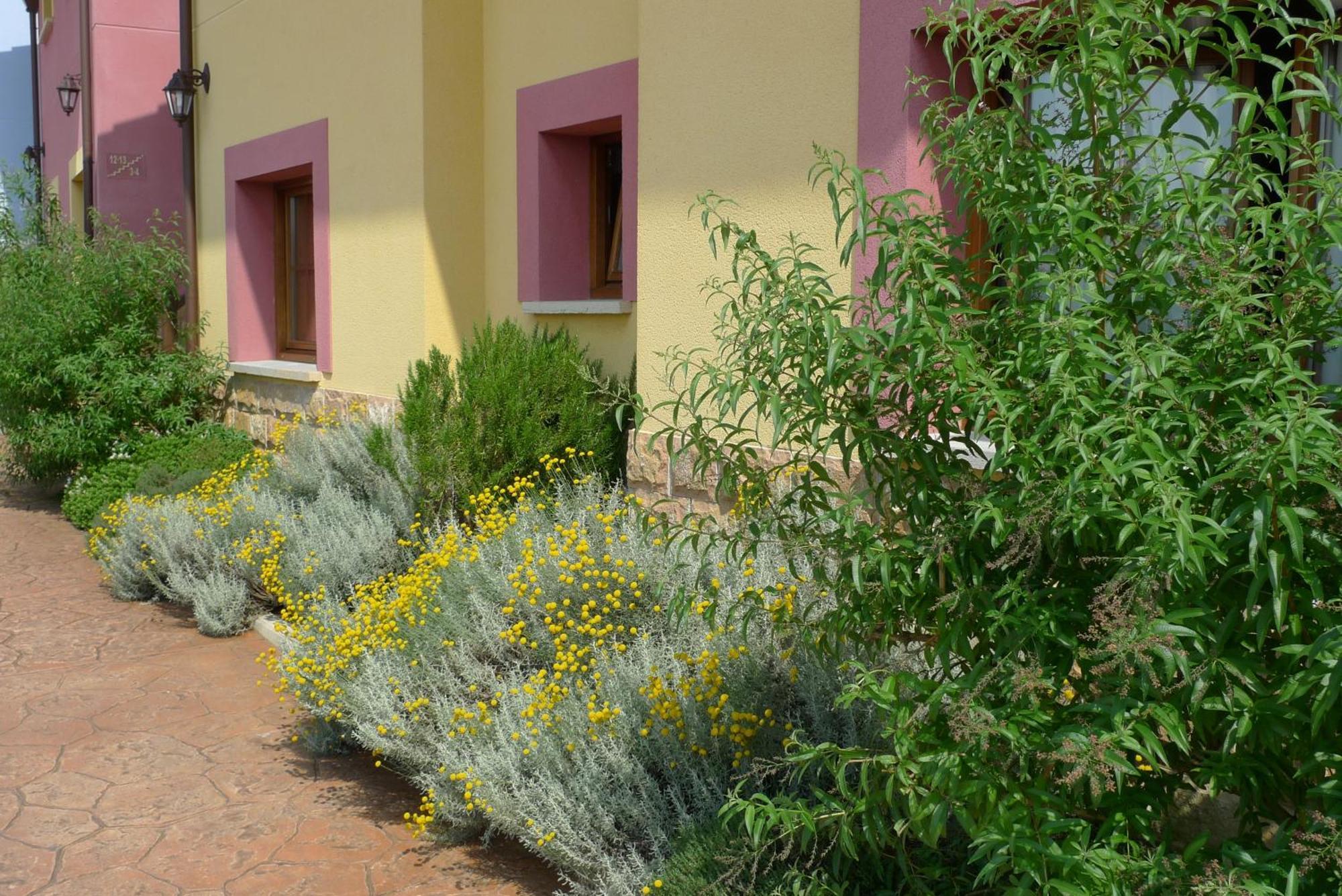 Apartamentos Rurales Antojanes Гранда Экстерьер фото